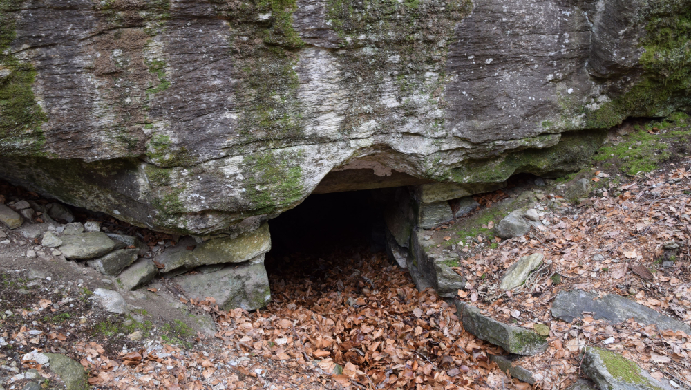 TAIADA - INDAGINI SUL TERRITORIO PER GRANDI E GIOVANI