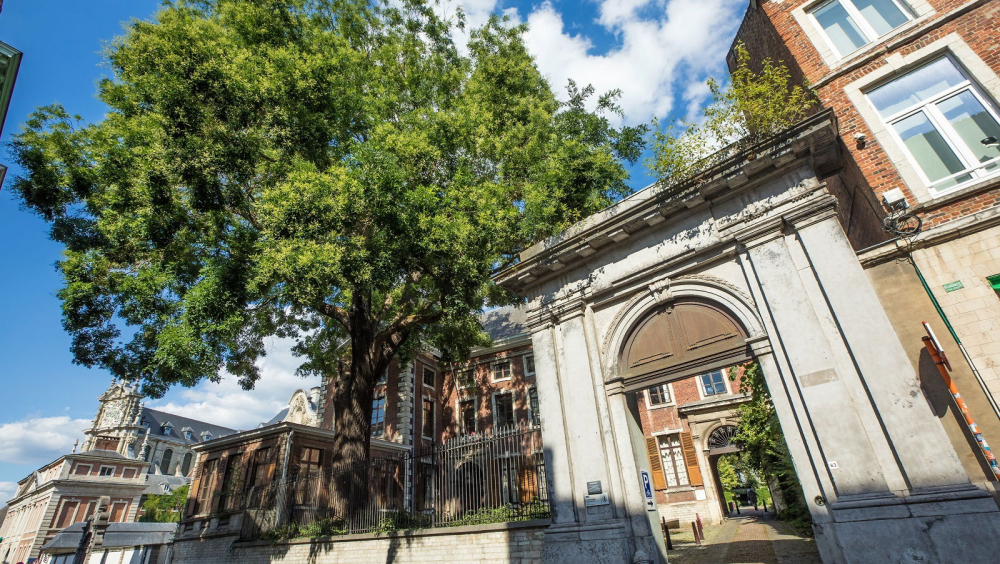 Bekijk het Atrechtcollege in de schoenen van een porreke