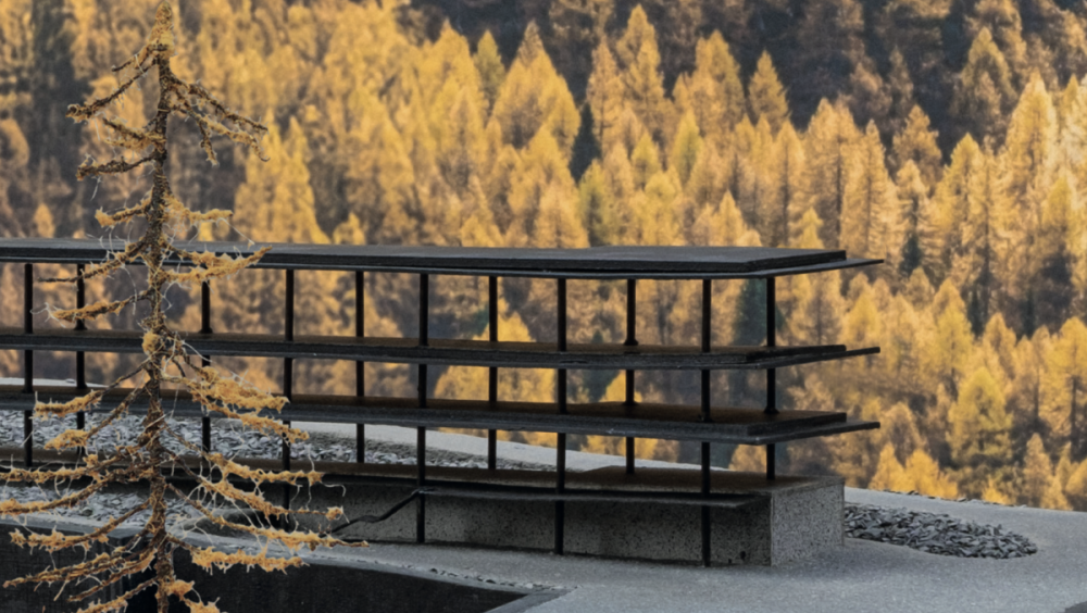 EIN NEUBAU FÜR DIE TESSANDA