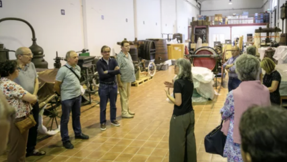 Visita a les reserves del Vinseum