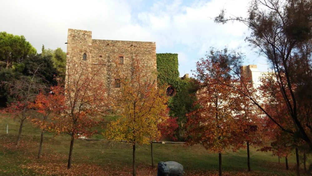 Portes obertes al Castell Cartoixa de Vallparadís