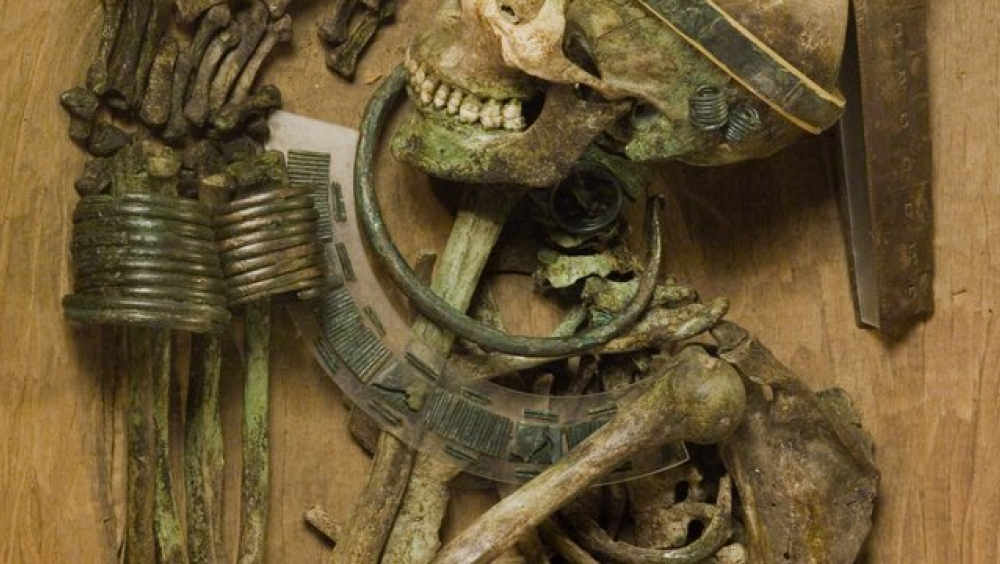 Urzeitmuseum Nussdorf-Traisental