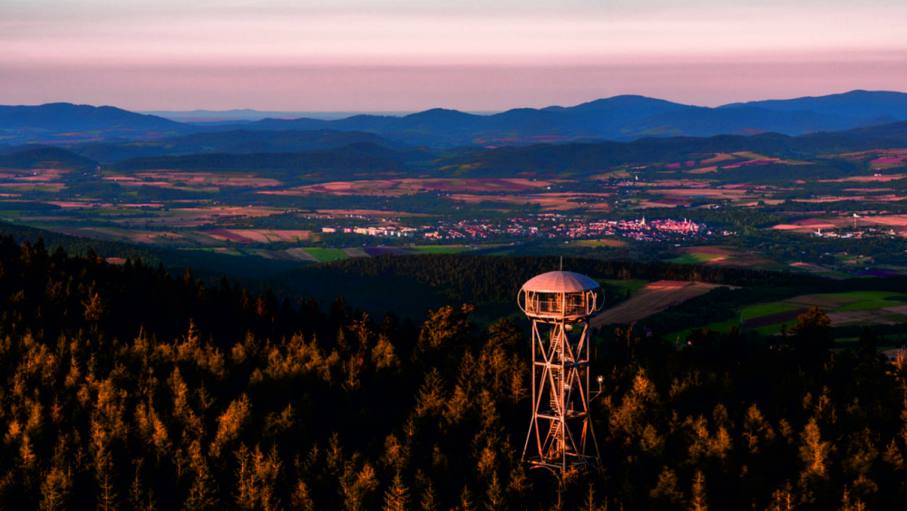 W stronę architektury. Piknik pod wieżą Organizator