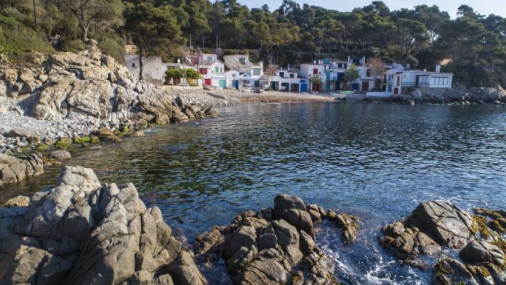 Visita guiada a cala s'Alguer de Palamós (BCIN)
