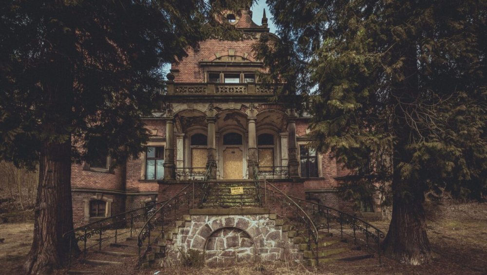 Dzień otwarty ogrodów Willi Konrad Organizator