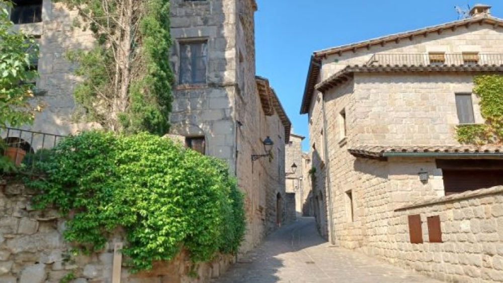 Visita guiada pels carrers de Sant Feliu Sasserra