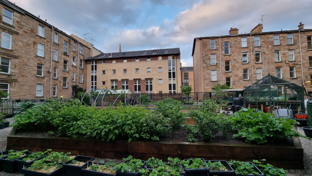 G3 Growers Community Garden