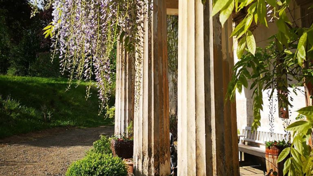 Zwiedzanie Pałacu w Rząsinach Organizatorzy