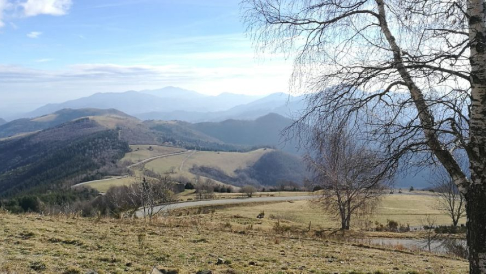 Conferència: El tractat dels Pirineus/1659-1660:fets i mites