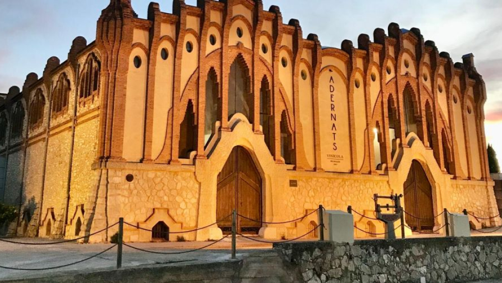 Visita guiada al celler cooperatiu de Nulles