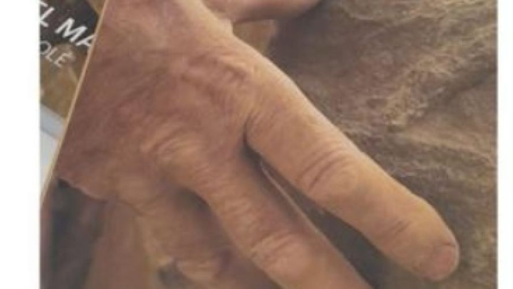 Presentació del llibre "Manual de marger"