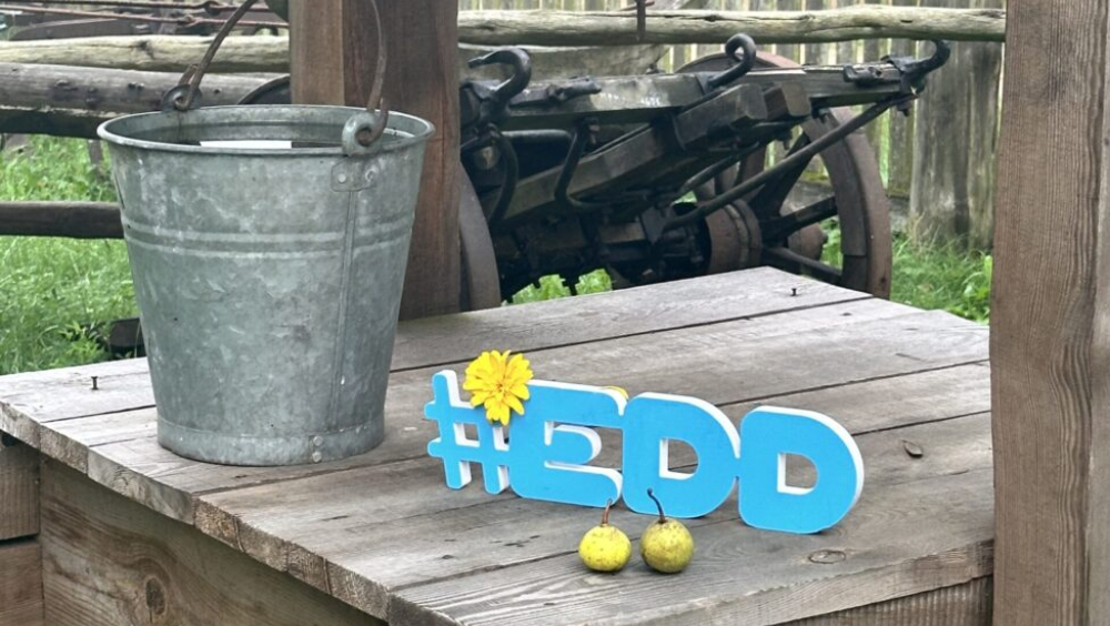 Budowa makiety Zagrody Kurpiowskiej Organizator