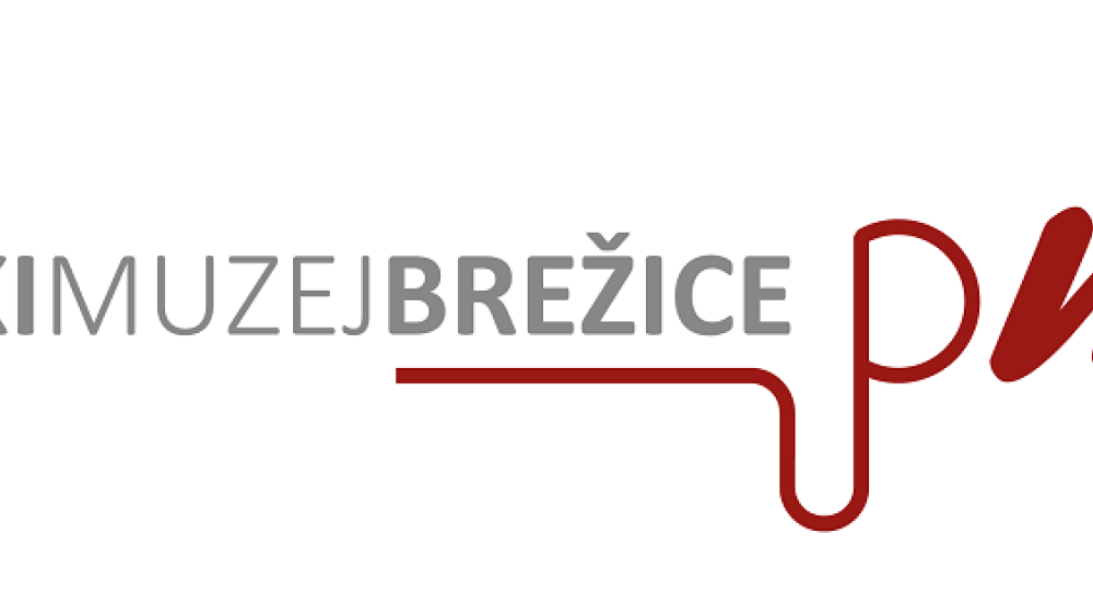 PREDSTAVITEV MREŽE GRADOVI POSAVJA