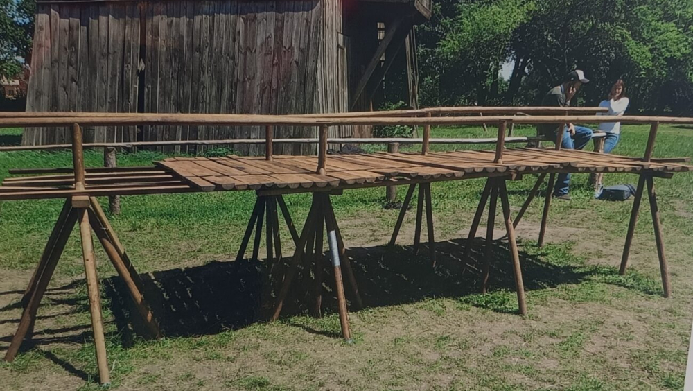 W stronę architektury. Młode dziedzictwo. Organizator