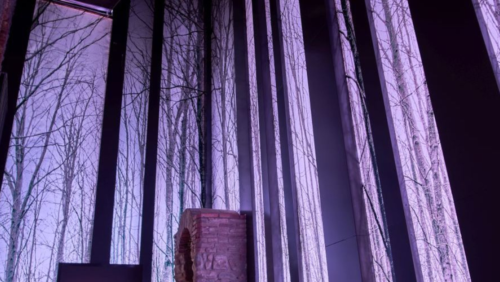 Portes Obertes al Museu Etnològic del Montseny