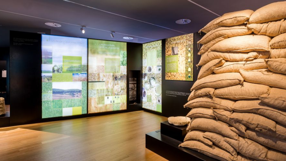 Cerdanyola, terra d'ibers