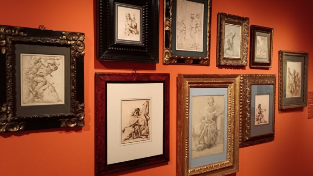 Portes Obertes a l'exposició 'L'elogi del dibuix'