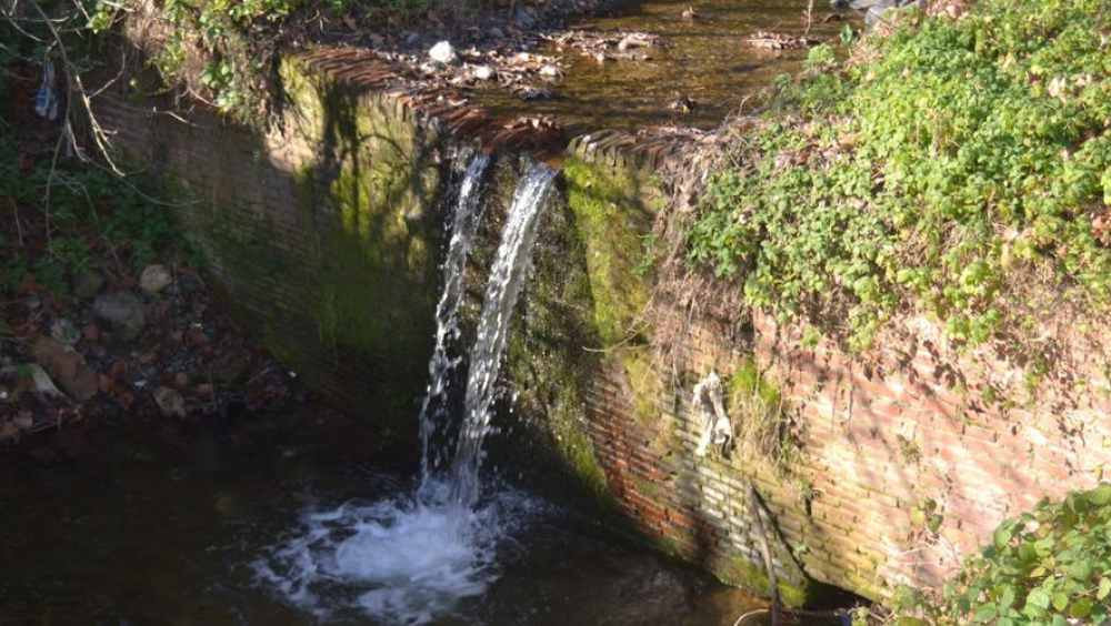 Passejada guiada pel sender de la riera de Vilamajor