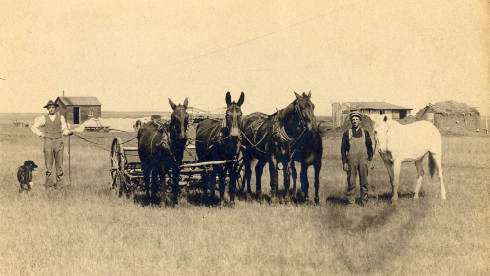 Soria Moria. Utvandringa frå Voss til Amerika