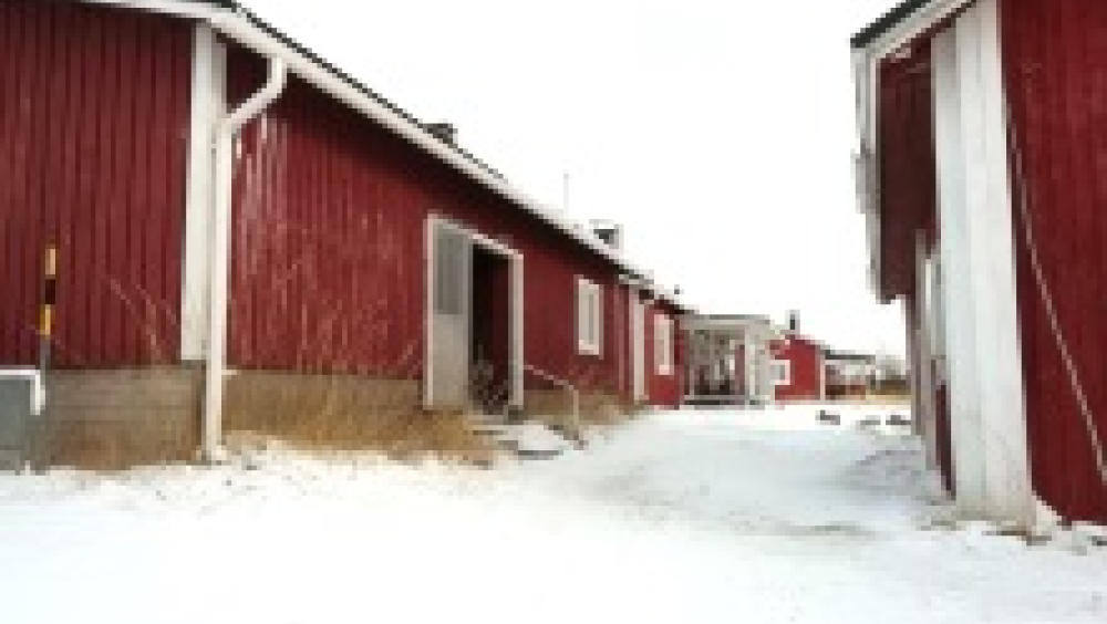 Red wooden buildings