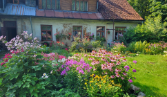 A traditional garden in Kuldīga - EHD Story, Latvia (credit, Kuldīga Restoration Centre)