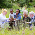 European Heritage Days in Ireland - National Heritage Week - group of people in the field