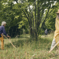 Scything 