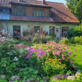 A traditional garden in Kuldīga - EHD Story, Latvia (credit, Kuldīga Restoration Centre)