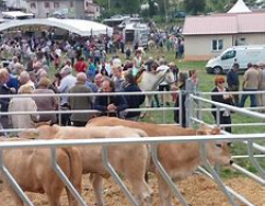 Foto Fiera di Pugliano GEP 2020.jpg