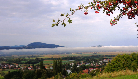 цenkovec ONLINE PRESENTATION  Tourism possibilities of the cultural tourism.jpg