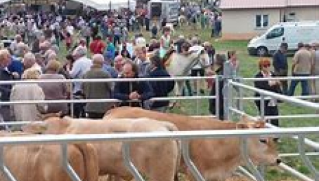 Foto Fiera di Pugliano GEP 2020.jpg