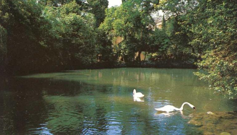 Orto Botanico Teramo.jpg