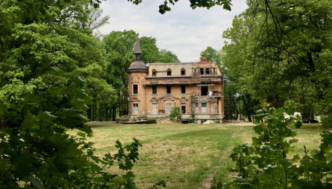 around the apple.jpg