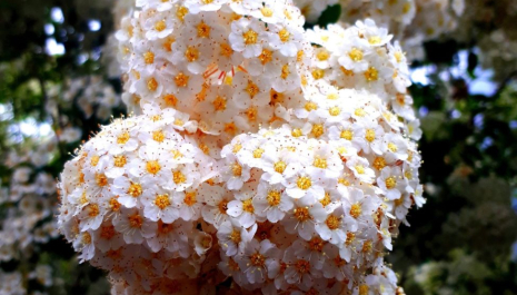 poetry competition.jpg