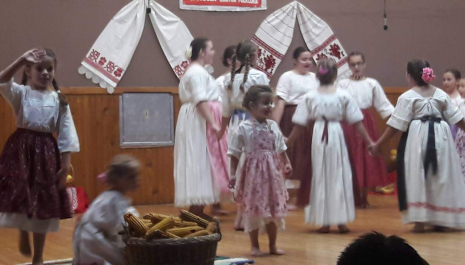 KULTURNO- UMJETNIČKO DRUŠTVO GRANIČAR LUŽANI