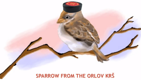 The picture shows a sparrow on a branch with a Montenegrin hat tilted on his head.