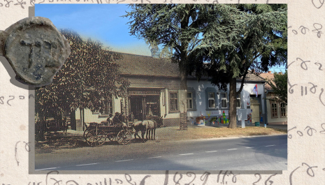 Илијанум, Шид