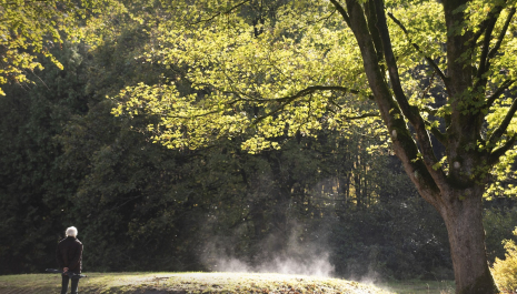Sporen uit het verleden