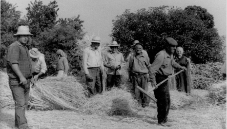 Farmers of Meaus in the 1950s