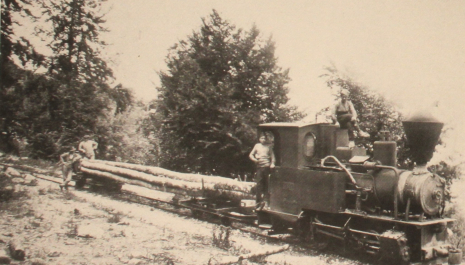 1. The locomotive of the Decauville train drawing a timber transportation carriage. Photographic archive of Takis Mpaitsis