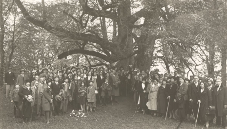 People stands near old linden tree in Turaida, Latvia. Year 1932. Opening event of renewed commemorative plaque.