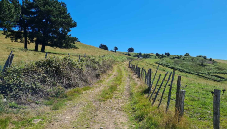 Senda La Galdamesa, Bizkaia