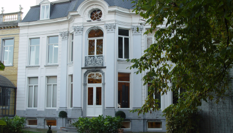 Visite guidée adaptée de la Maison des Géants