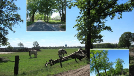 Wandelen langs de knooppunten