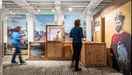 Expo: Zeven eeuwen FALCON
