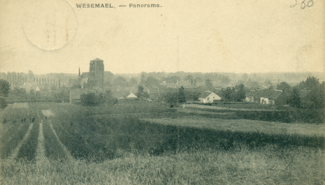 Wezemaal in Beeld