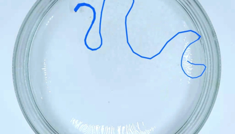 Tentoonstelling 'Gezelle inspireert"