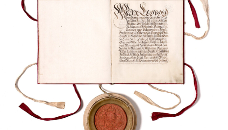 Rohrbach-Berg - Stadtamt: Stadtgeschichte