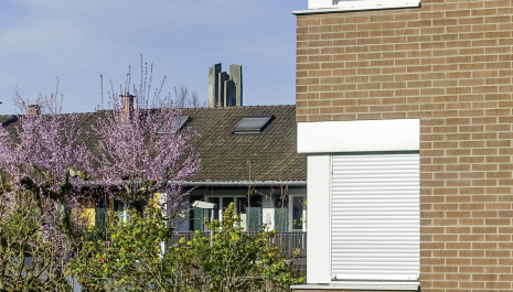 DENKMALPFLEGE IM DIALOG – IM KORNFELD