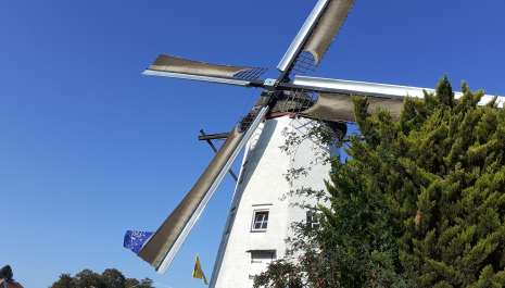 De Witte Molen wenkt